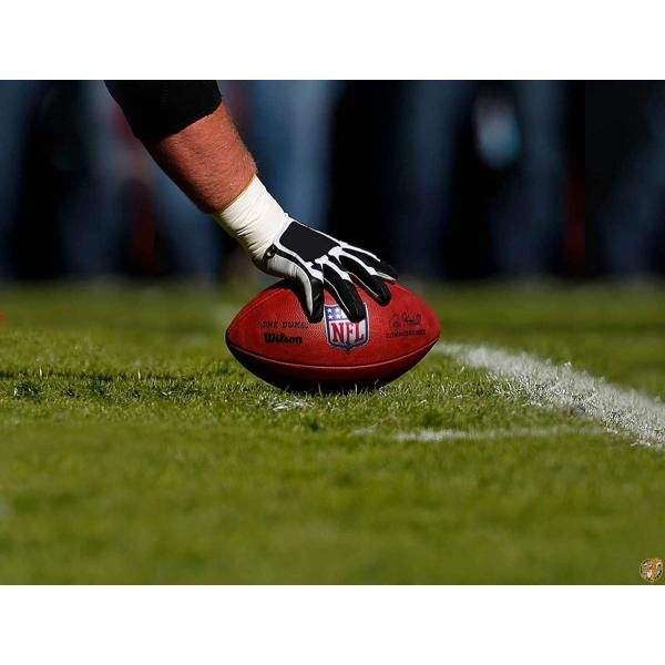 楽天市場】【最大2000円クーポン4日から】Wilson The Duke公式NFL