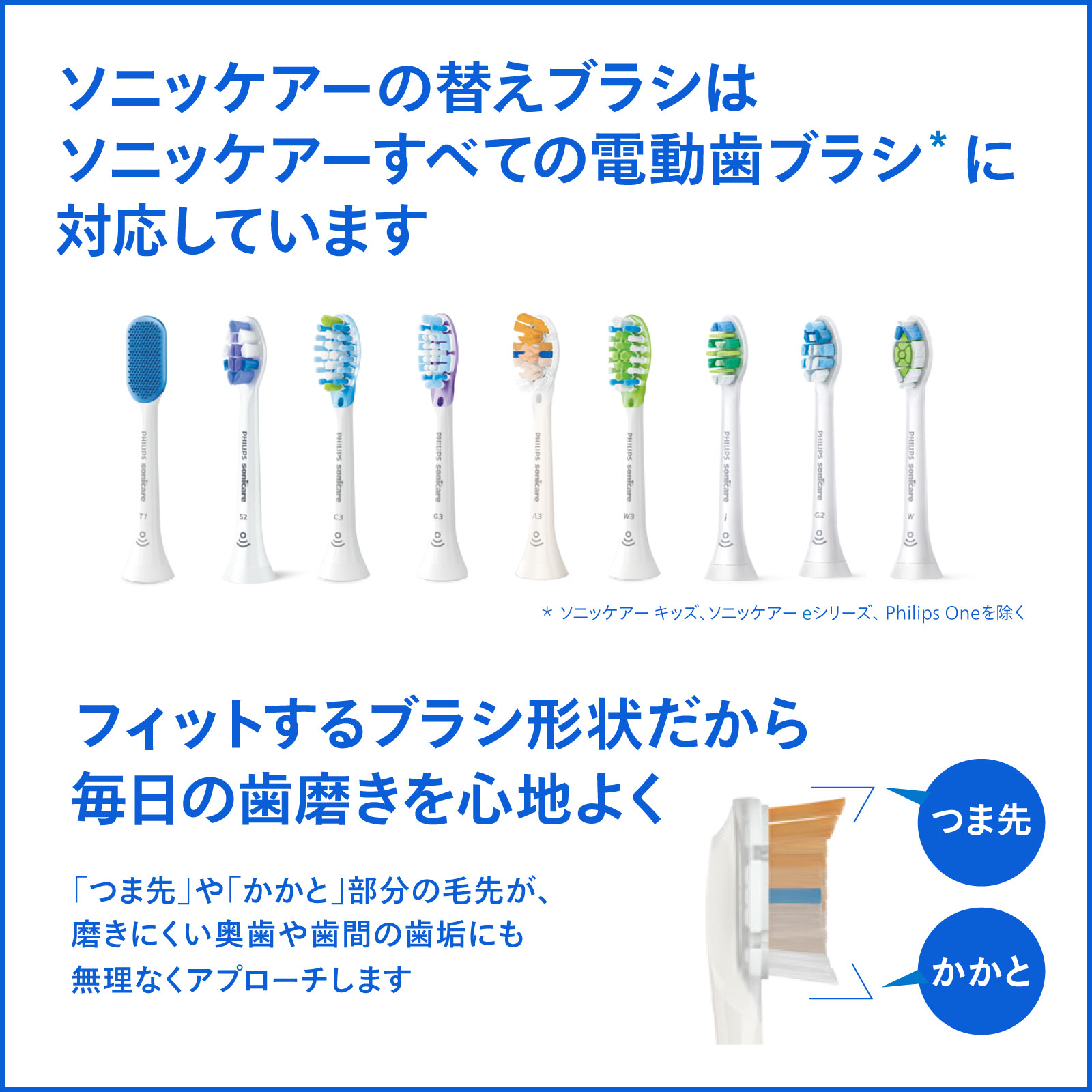 楽天市場】替えブラシ フィリップス ソニッケアーホワイトプラス
