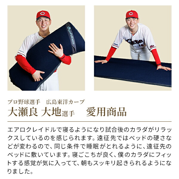 楽天市場】ファイテン 星のやすらぎ エアロクレイドル体圧分散