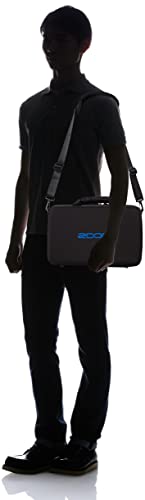 楽天市場】【送料無料】ZOOM ズーム キャリングバッグ R16/R24/V6用