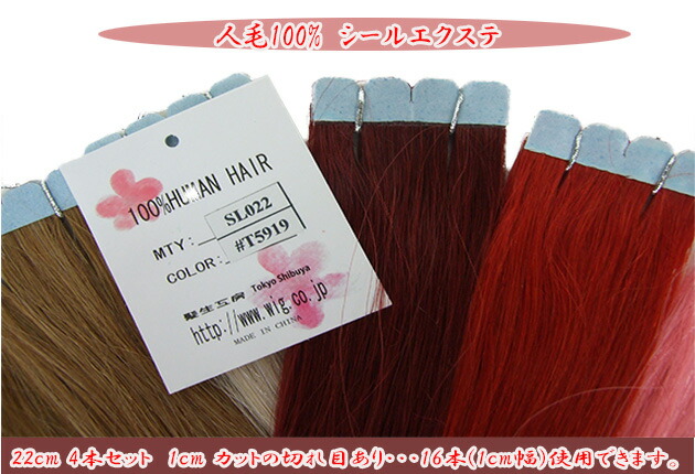 楽天市場】人毛100%シールエクステ約23cm(少し長くしました) 4本セット