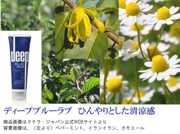 楽天市場】ドテラ ディープブルーラブ クリーム 3本セット 送料無料