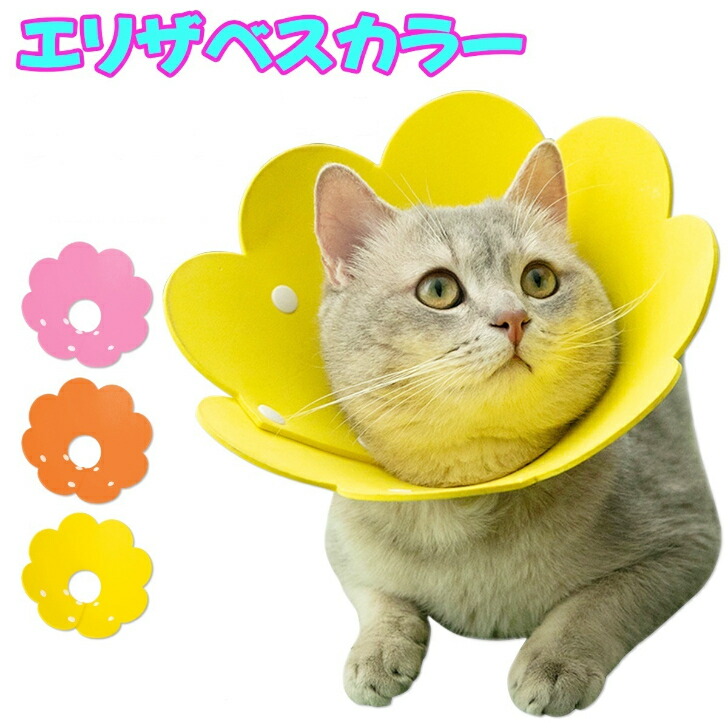 楽天市場】エリザベスカラー 猫 ソフト 軽量 花 柔らかい ストレス軽減