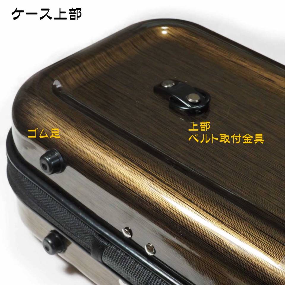 楽天市場】林生二胡 二胡ケース ハードケース（COLOR：カーボン） : 林