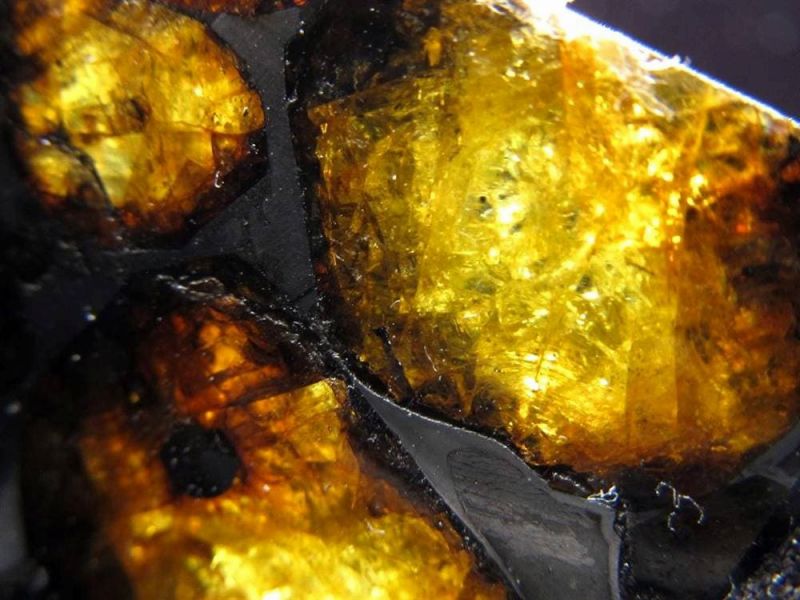 楽天市場】○【セリコ隕石（パラサイト隕石）原石 スライスプレート