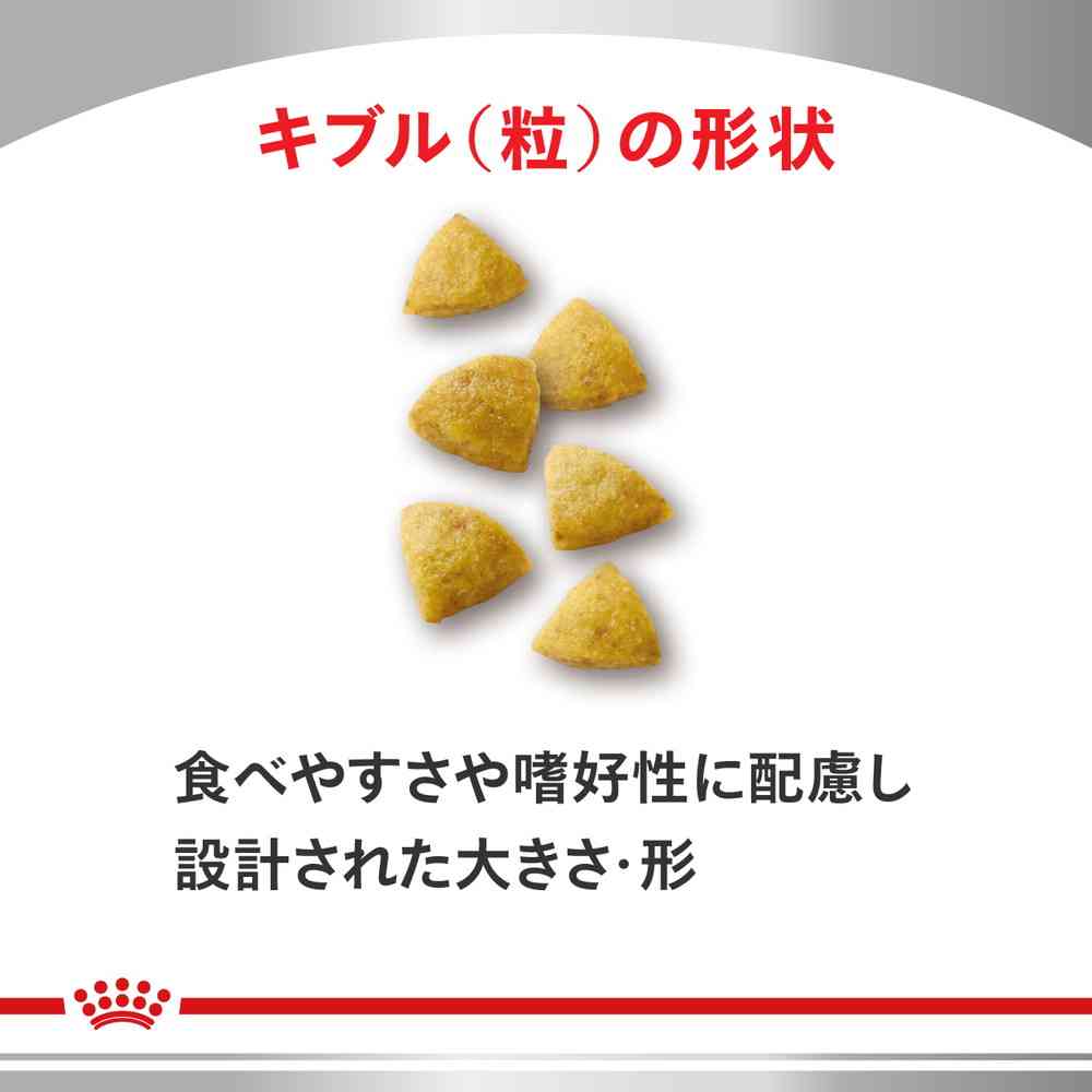 楽天市場】猫用 低分子プロテイン 2kgx1【ロイヤルカナン食事療法食