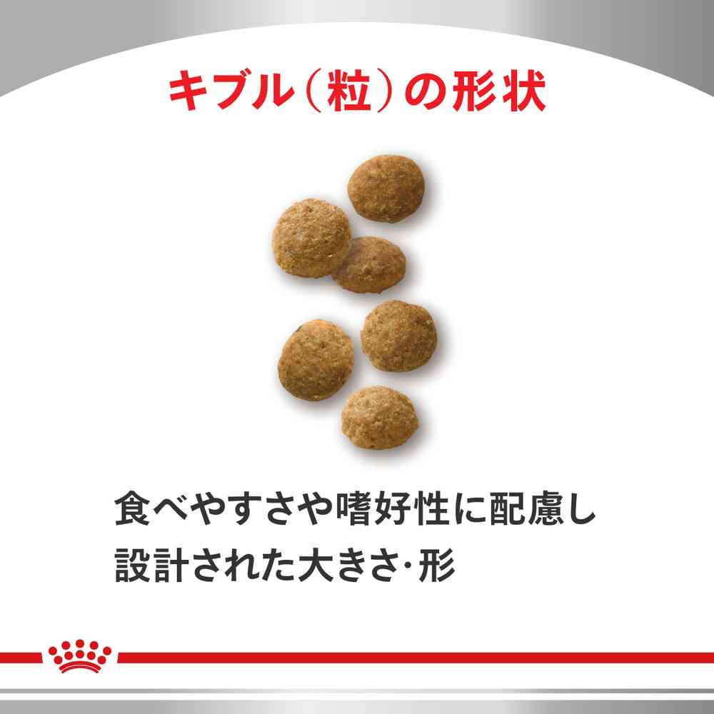 楽天市場】猫用 ユリナリーS/O+CLT 2kgx1【ロイヤルカナン食事療法食