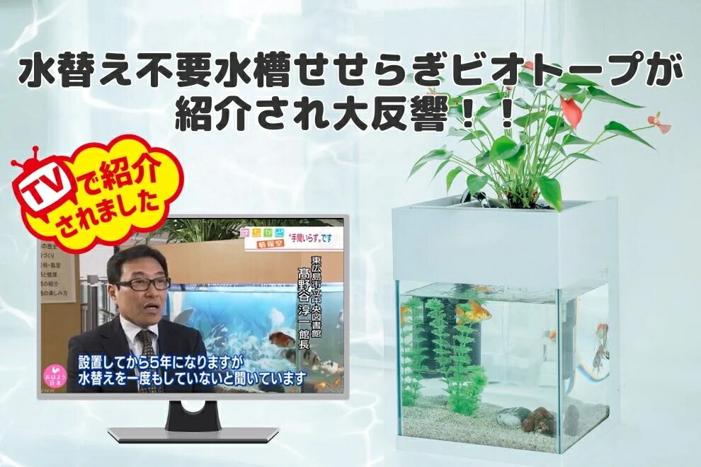 楽天市場】【TVで紹介されました】水換え不要 水槽セット せせらぎ