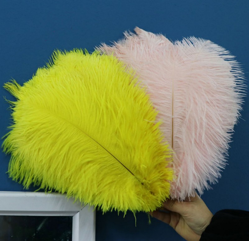 楽天市場】ダチョウ 羽（裁縫材料｜手芸・クラフト・生地）：日用品