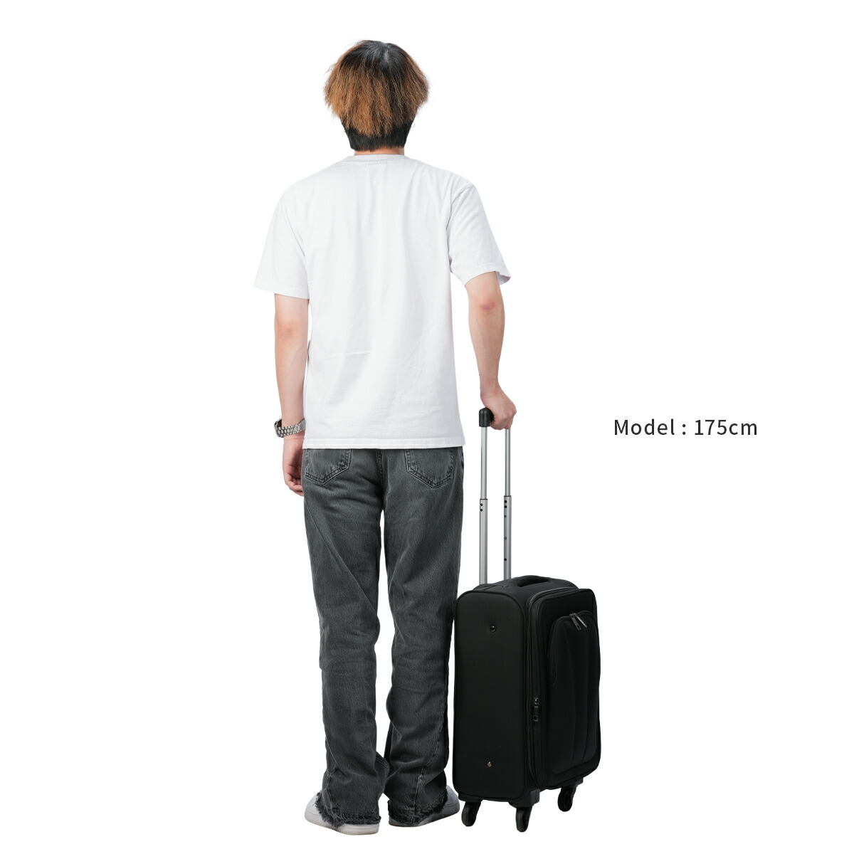 ACEアルザス TR スーツケース ラベンダー LL 93〜101L 拡張機能付 Ace