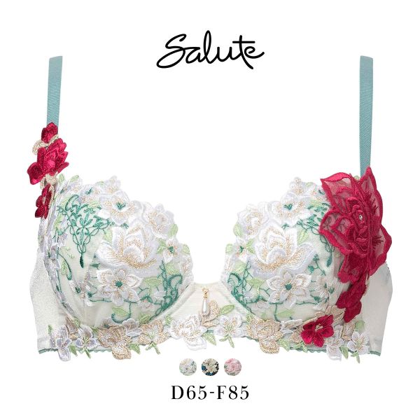 ワコール サルート プラダを着た悪魔 E70⁄M OV 96 P-upブラ ソング