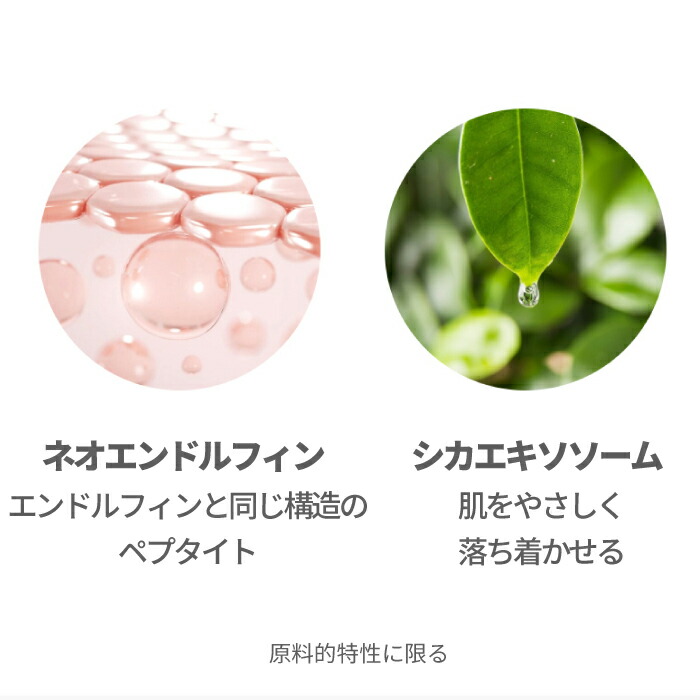 楽天市場】【ポイント5倍】LALARECIPE公式 [国内発送] カッサ付 本品