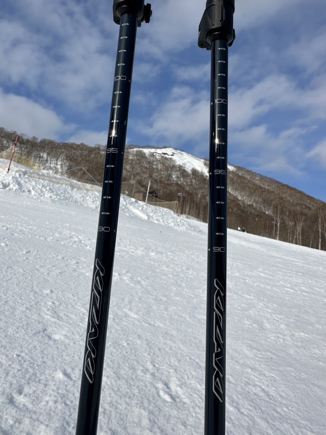 楽天市場】2025-2026 NEW ZASSO zasso ザッソ オリジナル スキー