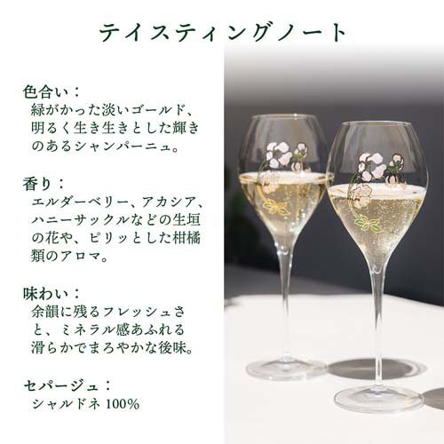 楽天市場】ペリエ ジュエ ブラン・ド・ブラン エコロジカルボックス