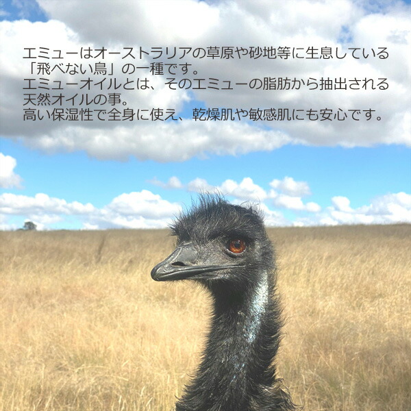 楽天市場】エミュークリーム 40g 2個セット エミューオイル配合 保湿