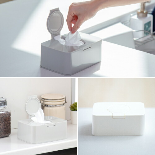 楽天市場】タケヤ FRESHLOK WET TISSUE CASE フレッシュロック