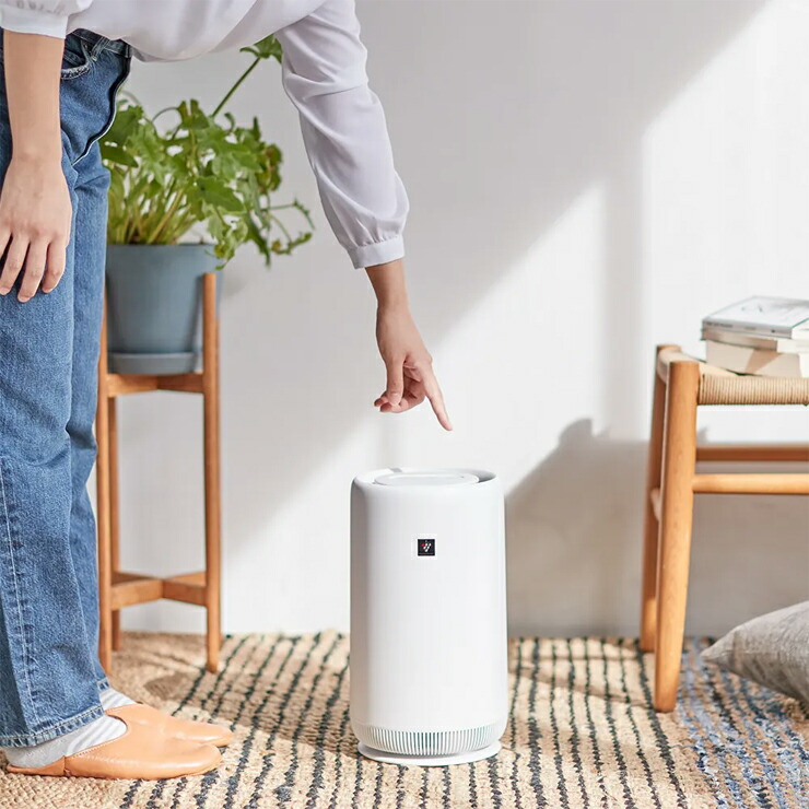 楽天市場】[3/1限定 抽選で最大100%ポイントバック＆最大2000円OFF