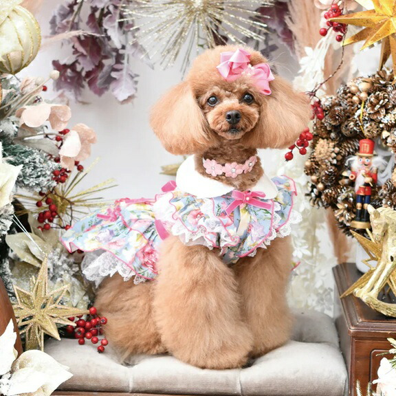 楽天市場】【1日はポイント3倍!!&各種クーポン発行中!!】リュクス