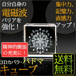 楽天市場】丸山修寛先生開発商品 3Dカバラ・パドマキューブ : いのちの樹