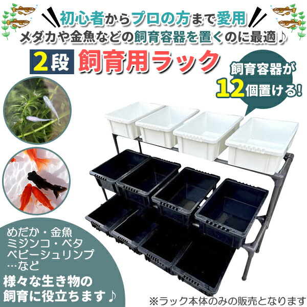 楽天市場】メダカ飼育黒ラック 2段12個置き めだか飼育棚 めだか飼育棚
