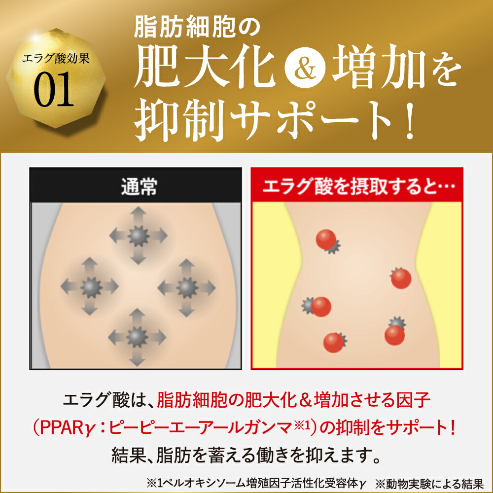 楽天市場】【公式】倖田來未 完全プロデュース キラーバーナー 2 機能