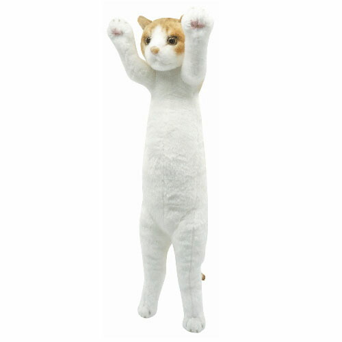 楽天市場】たっちぃZoo にゃんこ 茶白 たっちぃZOO ニャンコ 株式会社