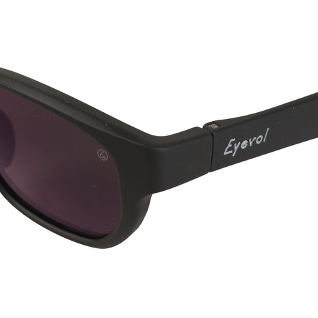 楽天市場】アイヴォル（EYEVOL）（メンズ）サングラス FRIEDMAN(52) 52