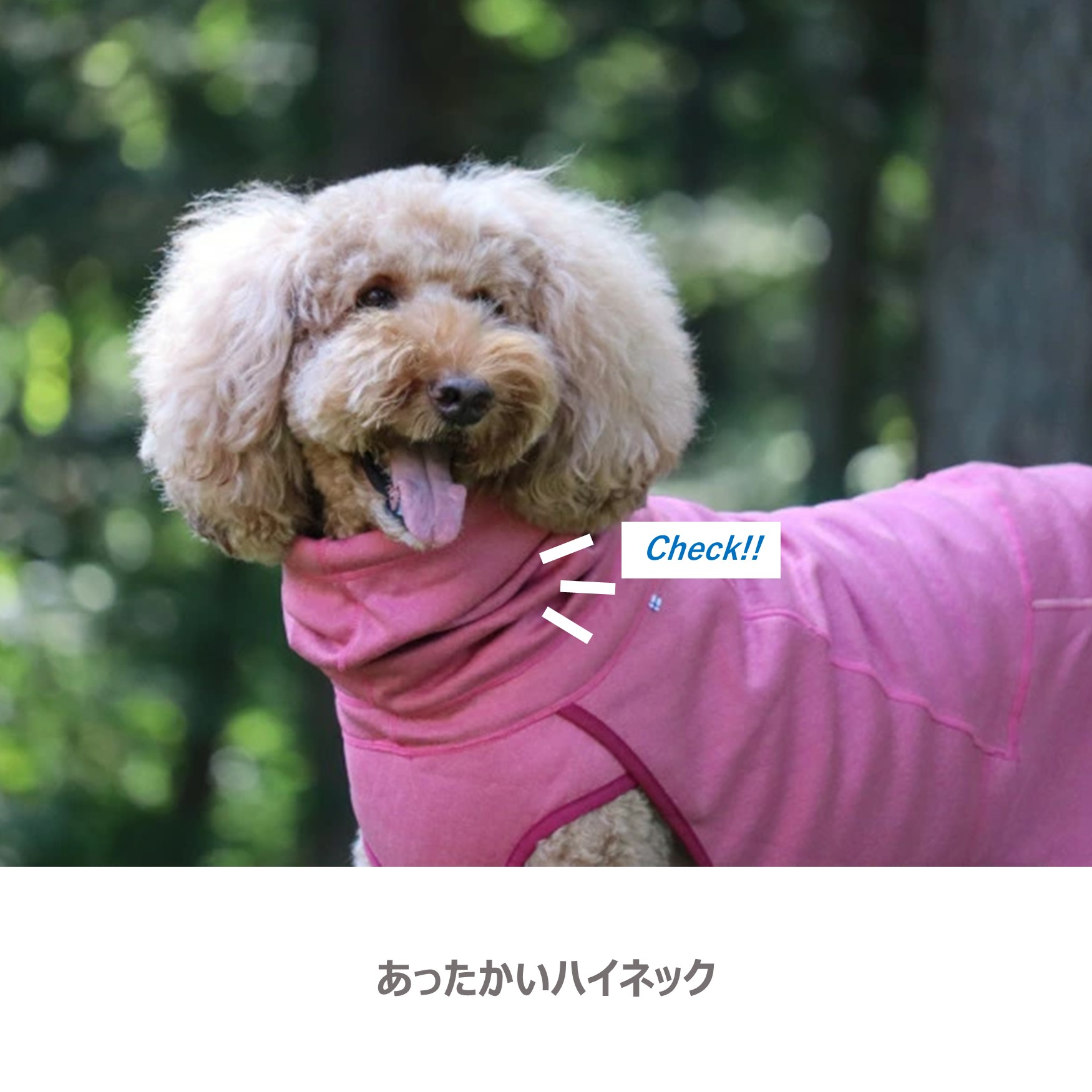 楽天市場】フィンランドのドッグブランド【Hurtta】【フルッタ