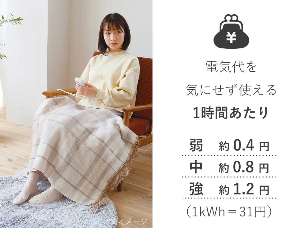楽天市場】在庫限り 2025年秋発売 コイズミ 電気ひざ掛け 110x70cm KDH