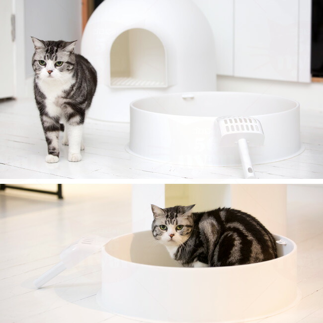 楽天市場】pidan ピダン 猫用トイレ スノードーム型 ホワイト (31336