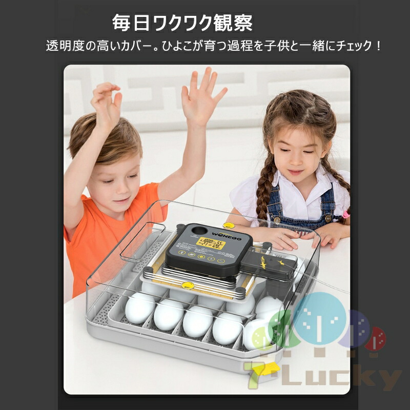 楽天市場】孵卵器 自動孵化機 卵孵化機 孵卵器 自動転卵 最大48枚