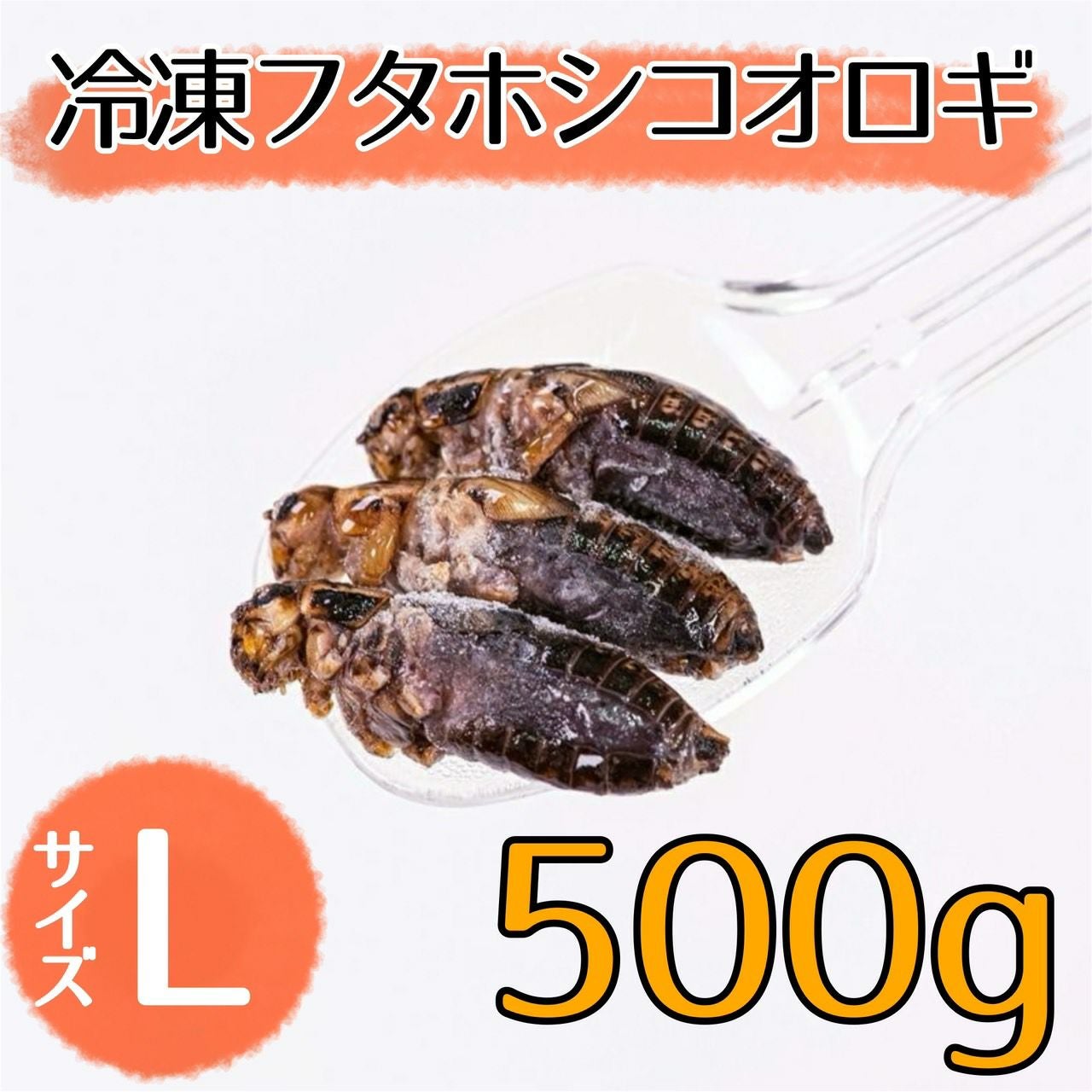 NEW【冷凍餌】フタホシコオロギ L 500g | 月夜野ファームの通販