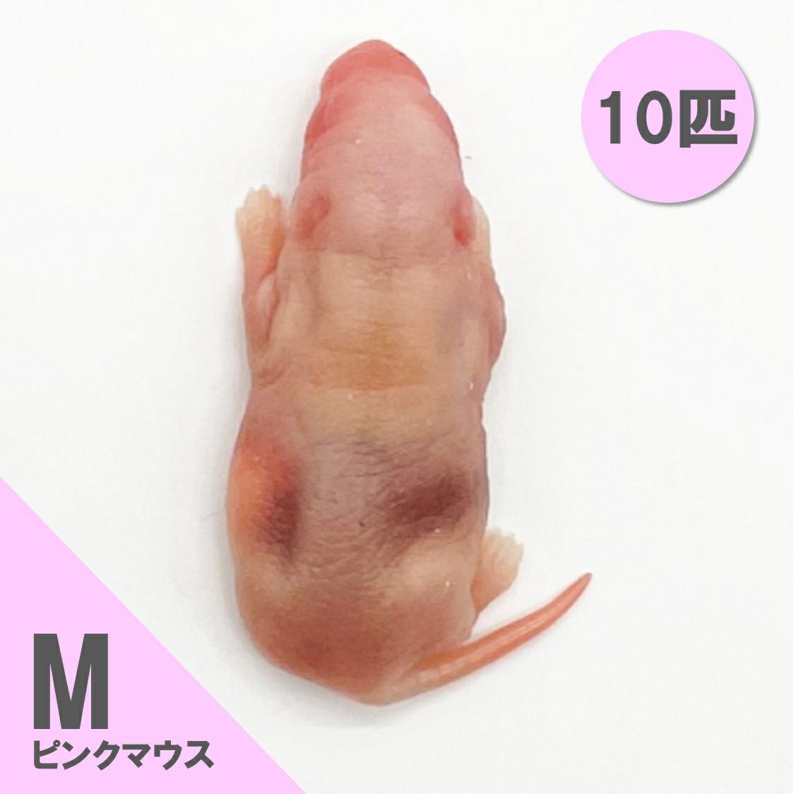 冷凍餌】ピンクマウス M 10匹入 | 月夜野ファームの通販