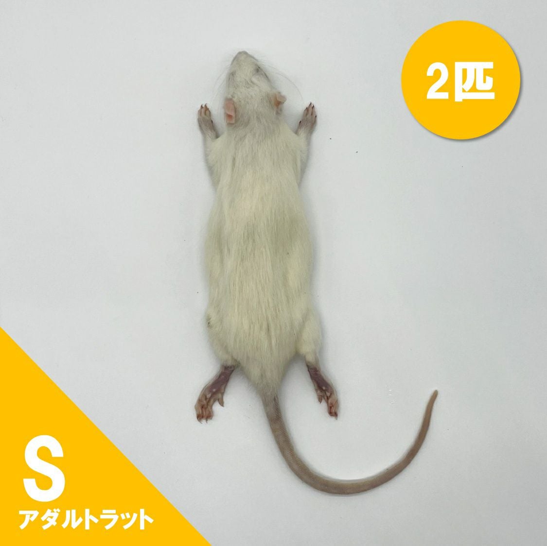 冷凍ラット | 月夜野ファームの通販