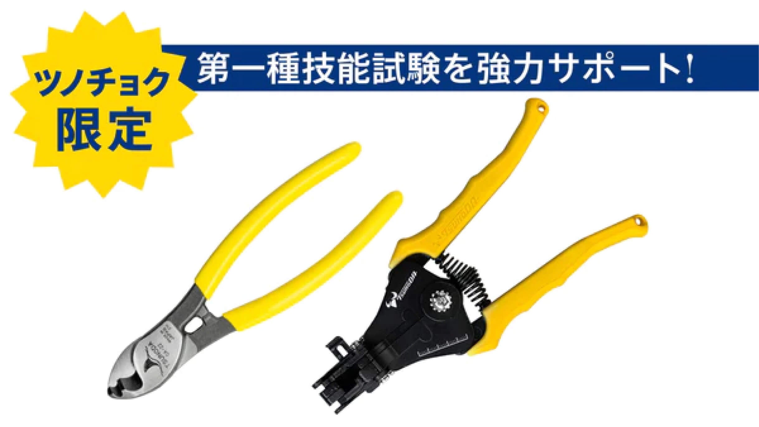 TCS-E02_cb519ab1-b4f8-4ca1-