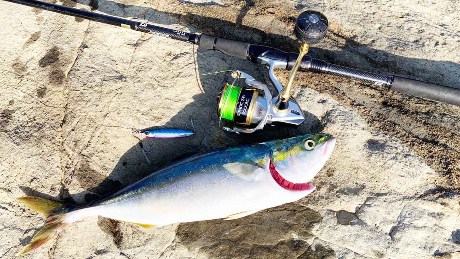 18 ストラディック SW 5000XGのスペックとインプレ | 釣りクラウド