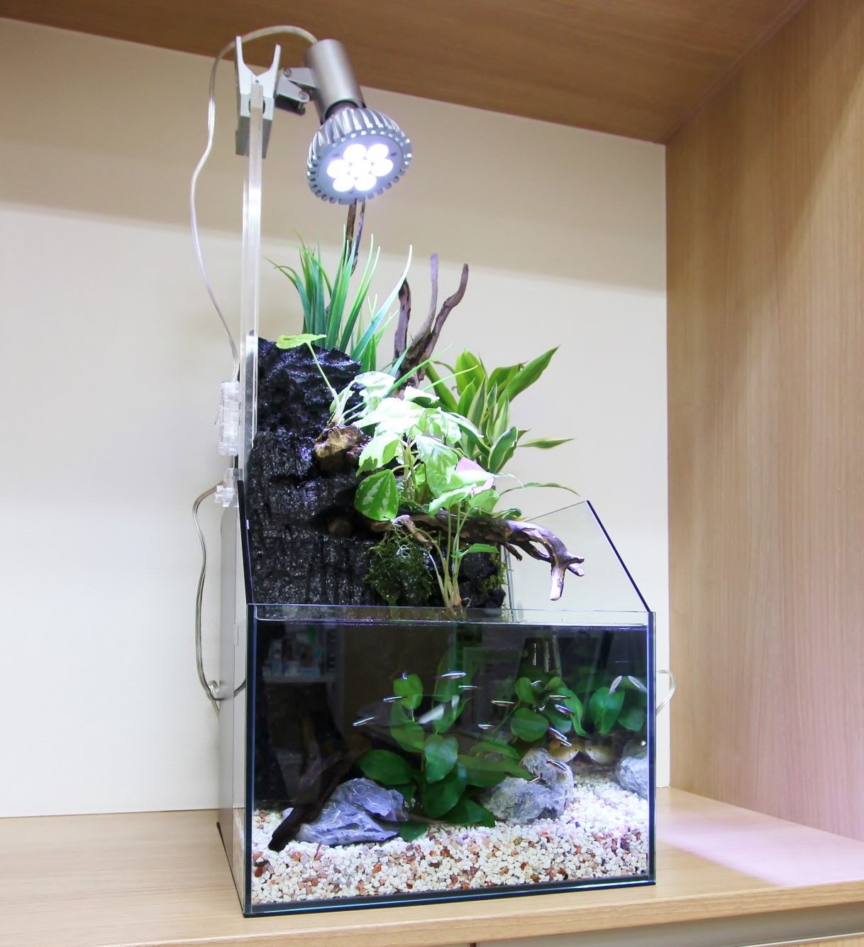 必見! 水槽用 照明 でおすすめの LEDライト｜アクアリウム情報メディア