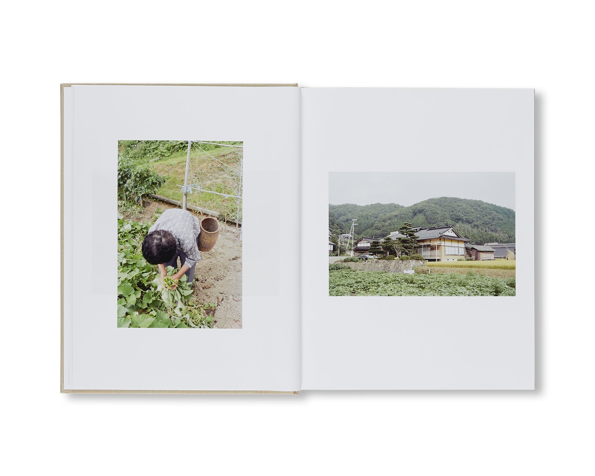 SHIOTANI by Anders Edström [SIGNED] – twelvebooks