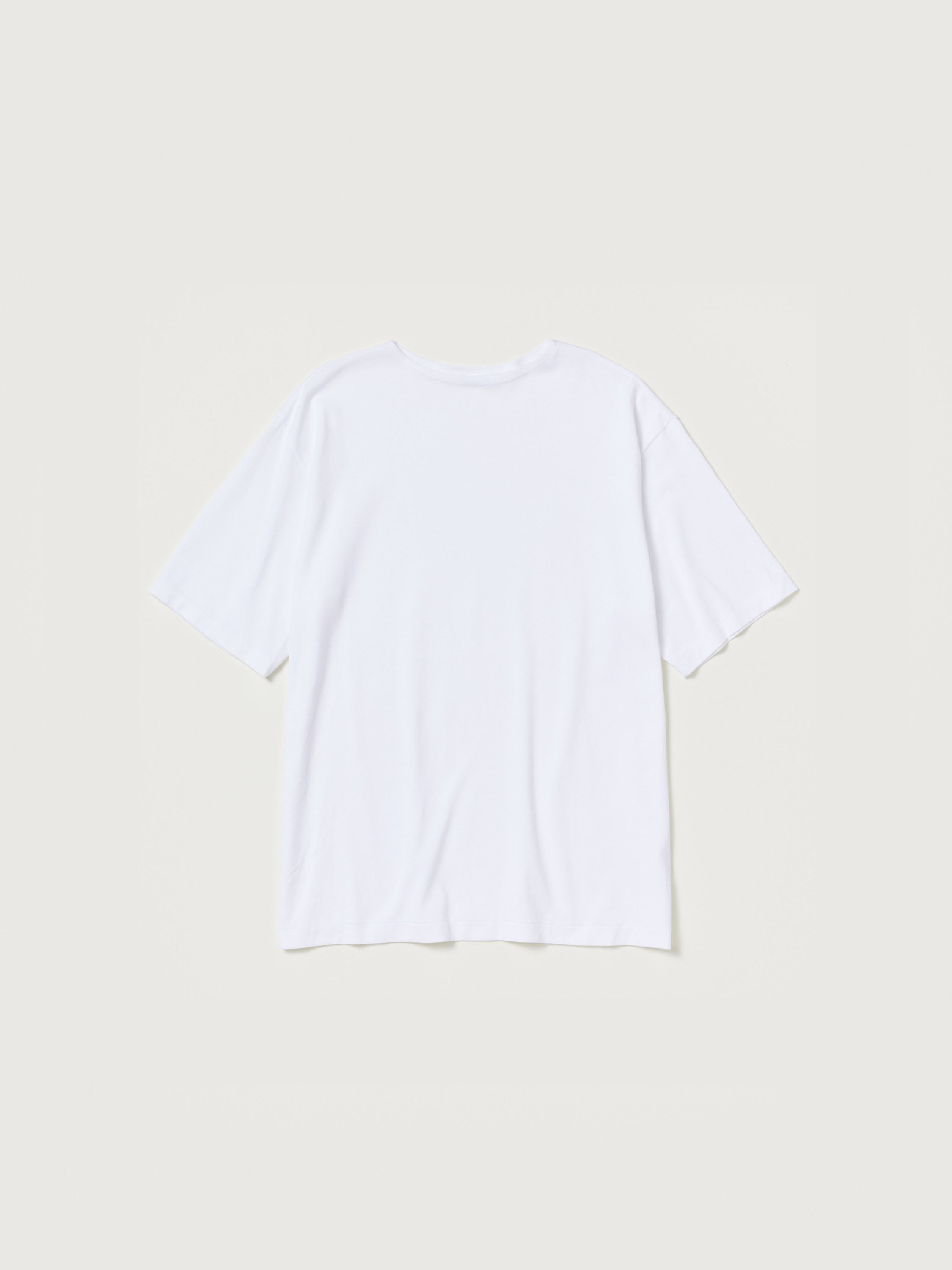 AURALEE LUSTER PLAITING BOAT NECK TEE – unexpected store
