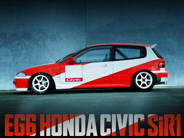 リアバンパー切開加工!レーシングカラー!ドンガラ!ダッシュ貫通ロール