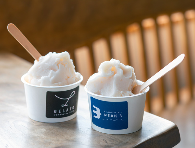 GELATO AND CAFE PEAK 3【鯖江市 / アイス・ジュース】 - URALAグルメ