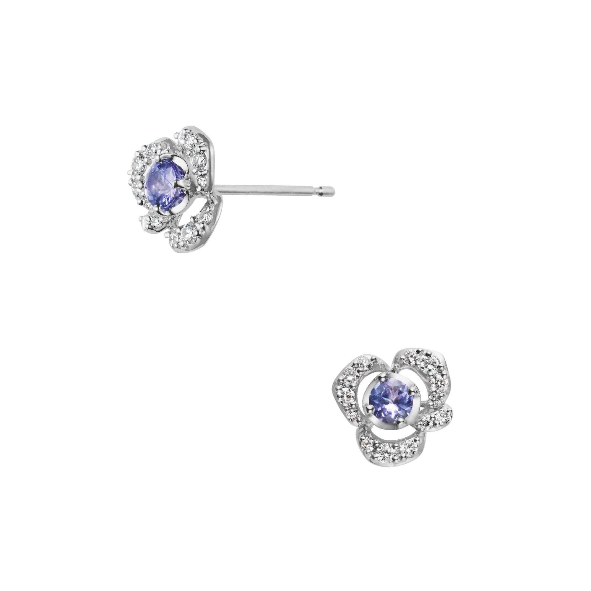 APVA2586__TA_999_0_20241127101