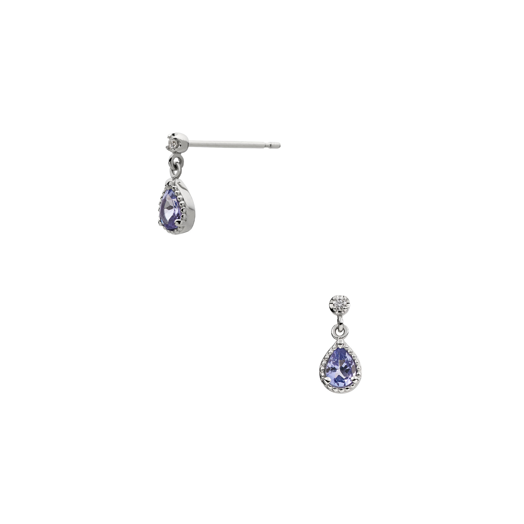 APVA2591__TA_999_0_20241204131