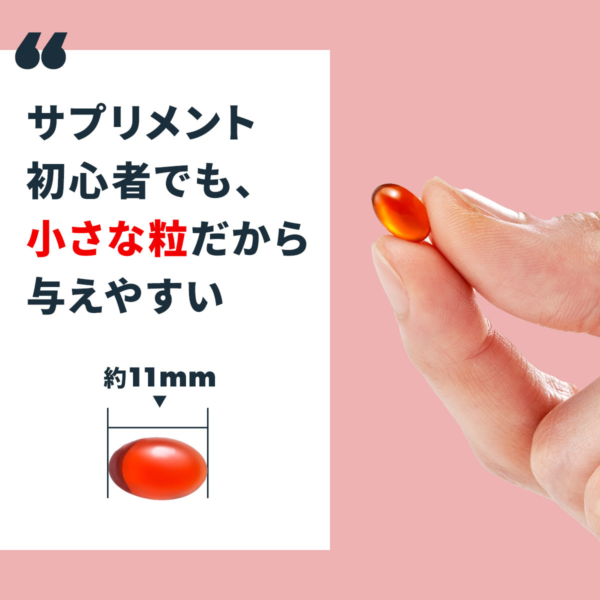 猫のサプリメント【アンチノール プラス】– ベッツペッツ公式サイト