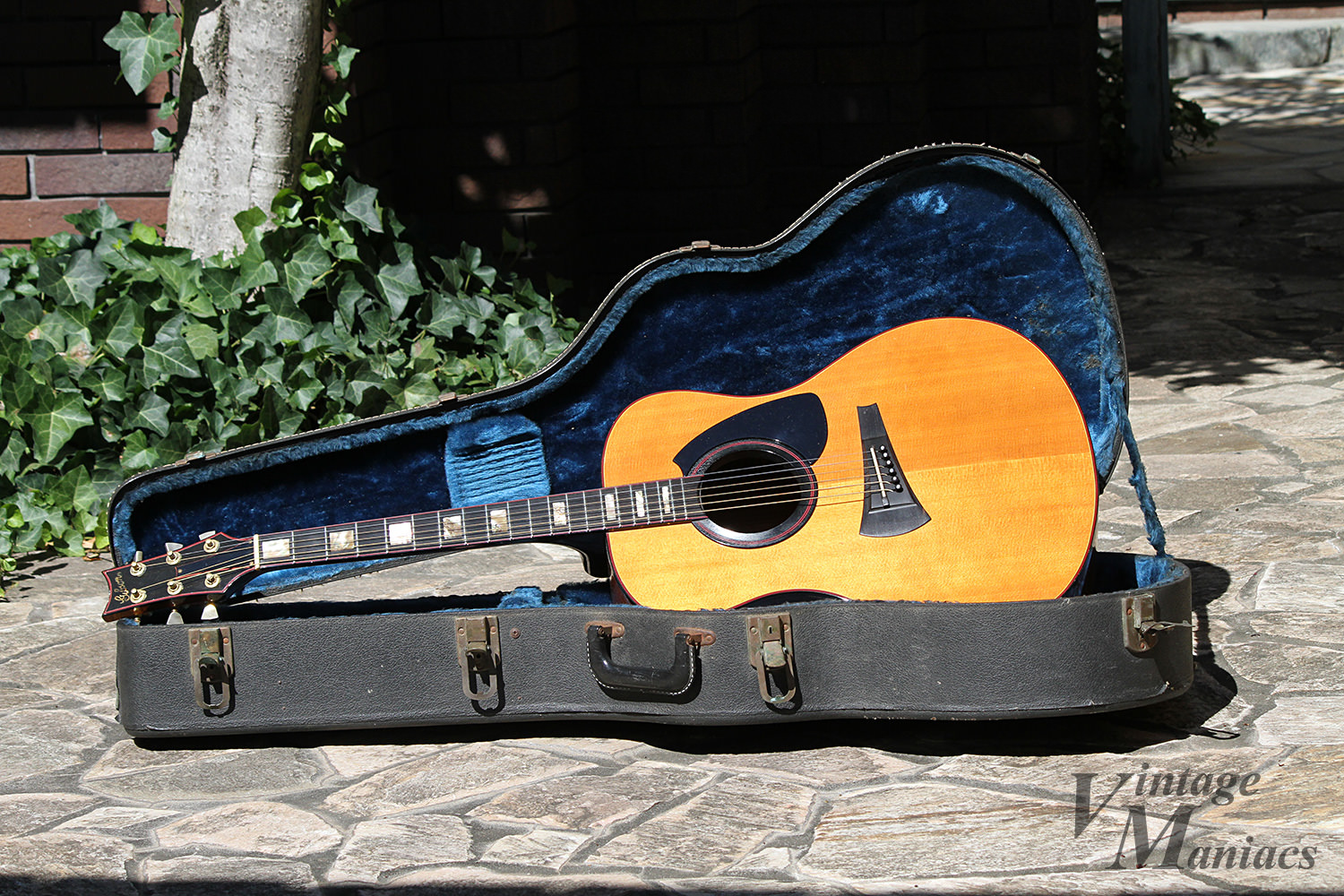 Gibson MK-81 ヴィンテージ 70年代 希少 ギブソン Gibson MK-81 - 斬新