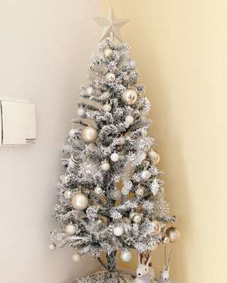 ヌードツリー(120cm スノー n2GS) | ニトリネット【公式】 家具