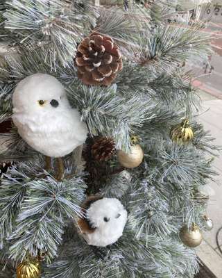 ネット限定】ヌードツリー ベルフォレスノー(210cm n4GW) | ニトリ