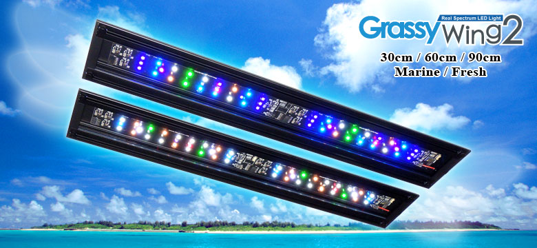 Grassy Wing2 / グラッシー・ウィング2 – ボルクスジャパン