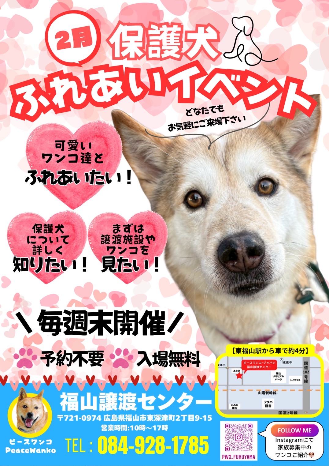 ピースワンコのイベント】2/7（土)、8（日）ボランティア&お迎え説明会