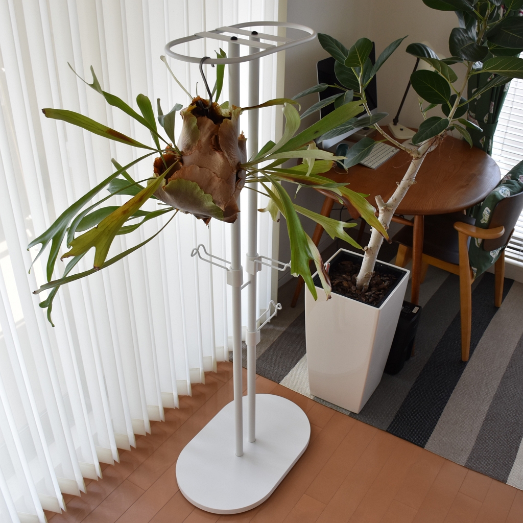 Richell 】リッチェルの植物用ラックを組み立てました【ボタニー